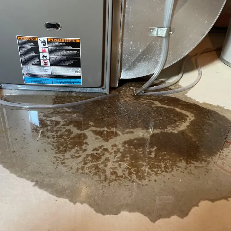 Appliance Leak Cleanup in Emerald Mountain, AL